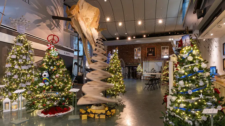 Festival of Trees under the sperm whale skeleton in Gosnell Hall