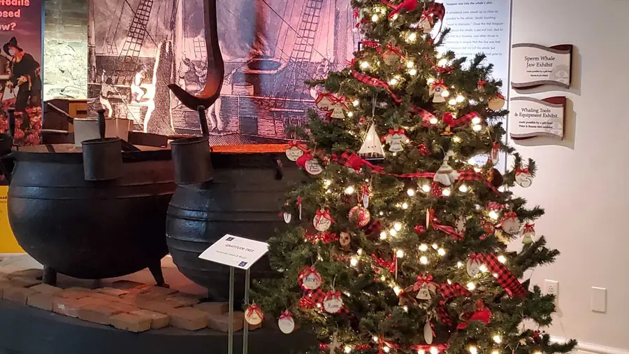 Gratitude tree beside the whaling try-pots
