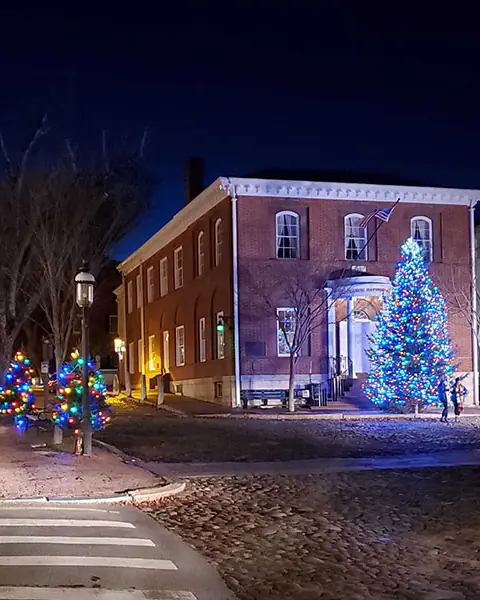 Lit Christmas trees outside a brick building on Main Street at night