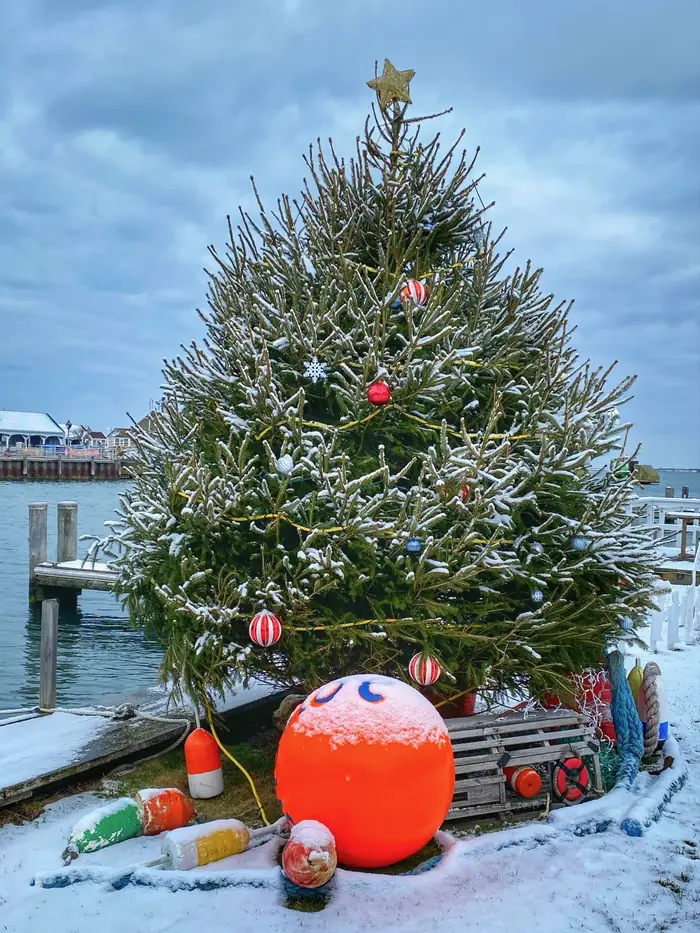 The buoy tree by the water
