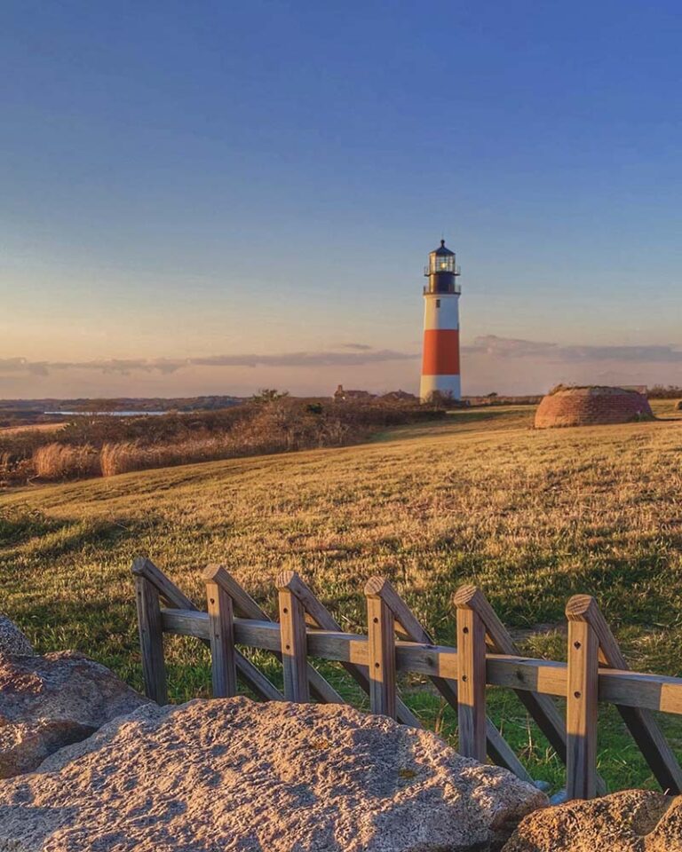 Photo by Michael Torrisi Photo by Michael Torrisi