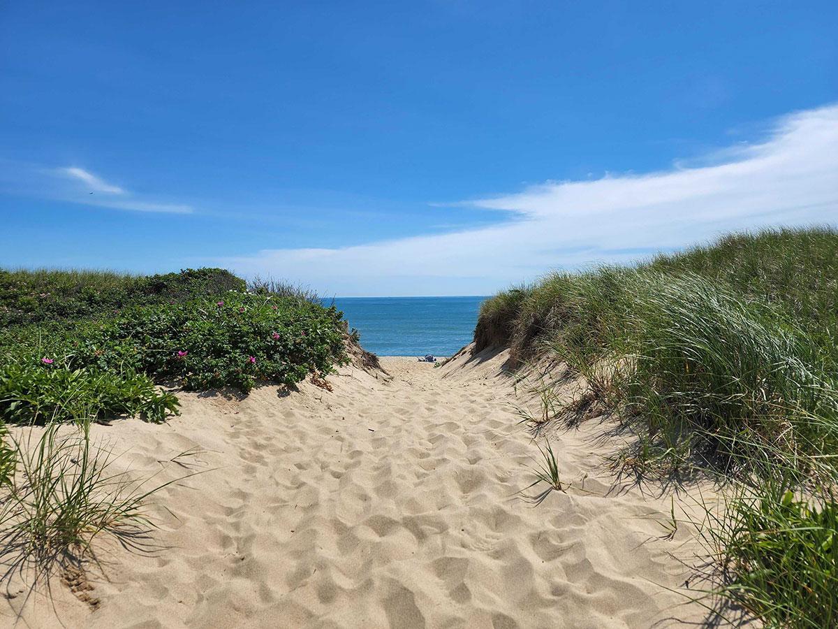 Ladies Beach Nantucket