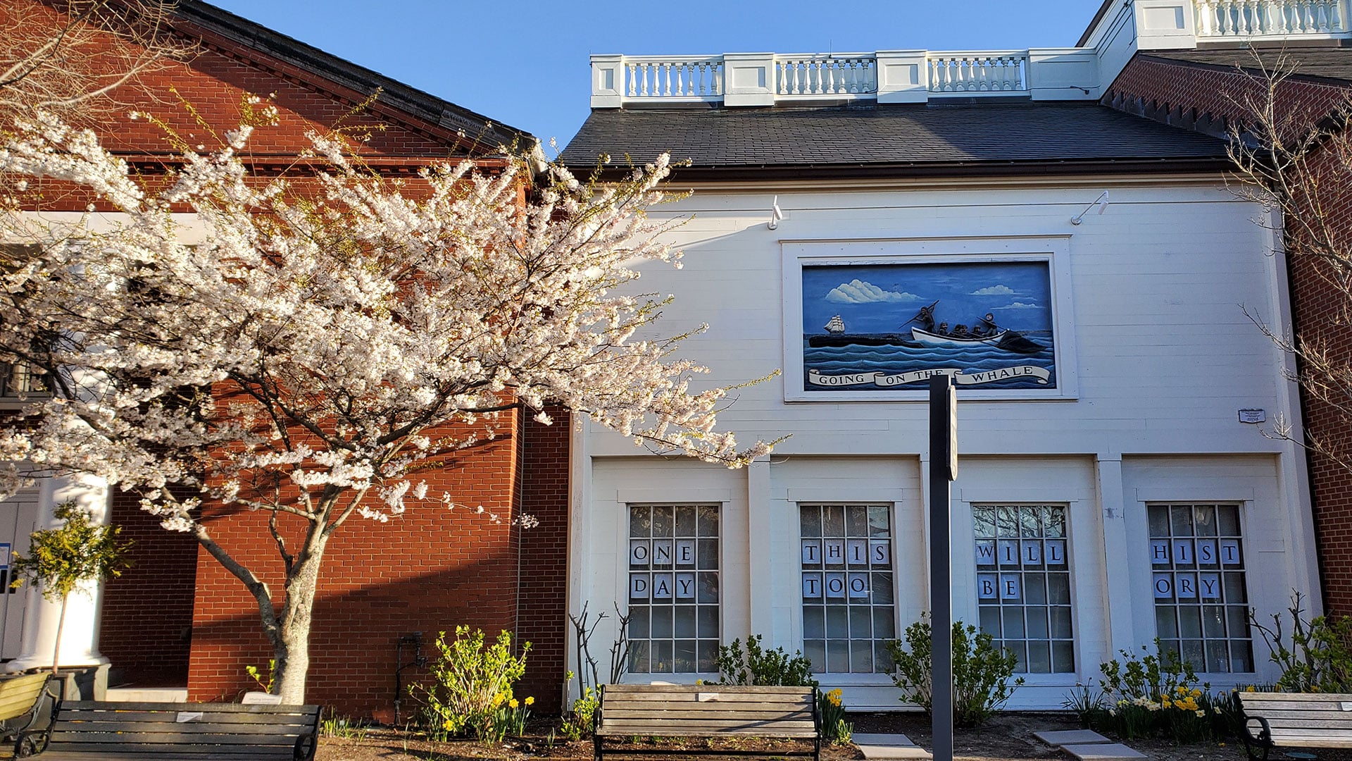 Nantucket whaling museum