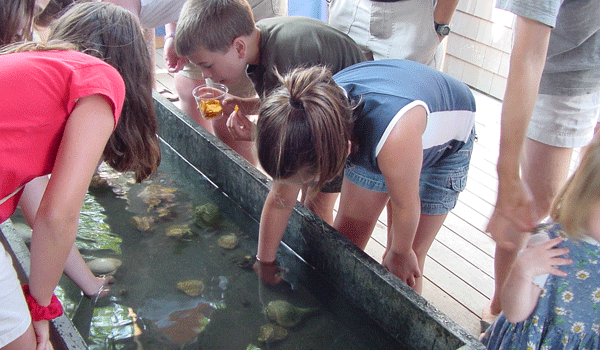 Maria mitchell association aquarium