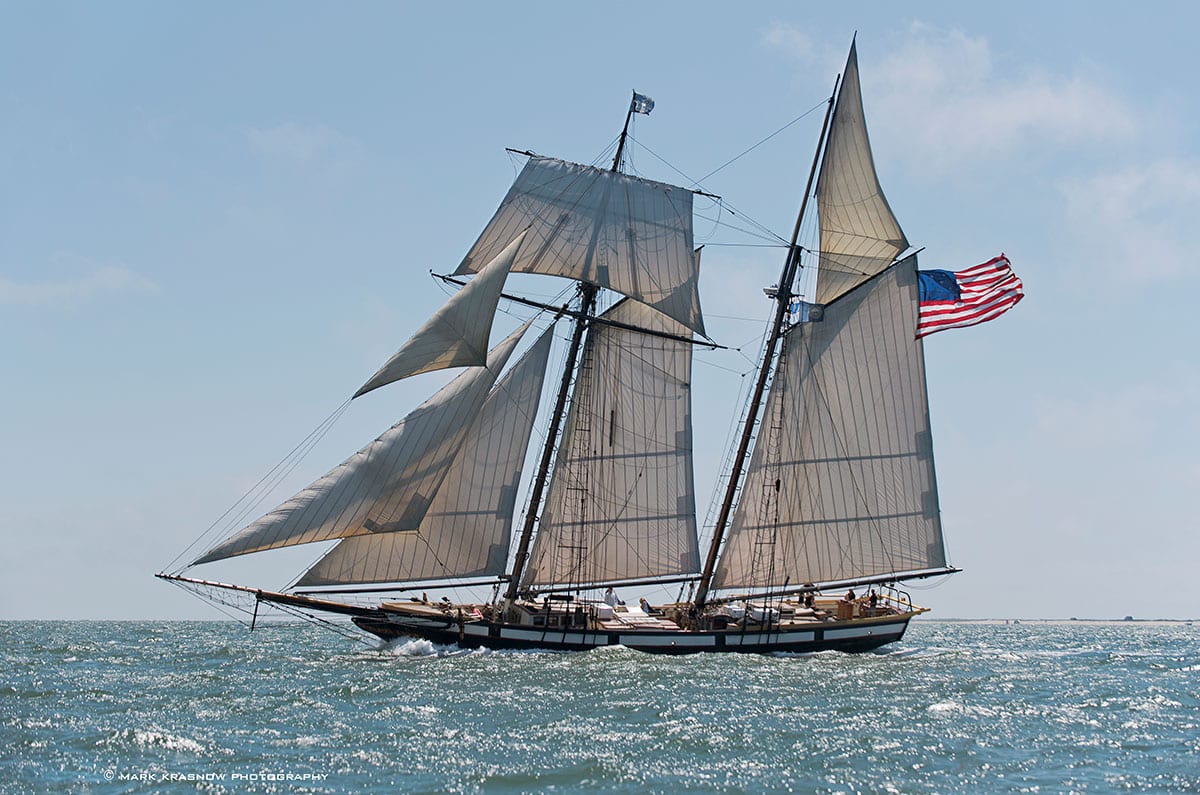 Tall ship lynx
