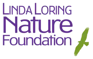 Linda Loring Nature Foundation Logo